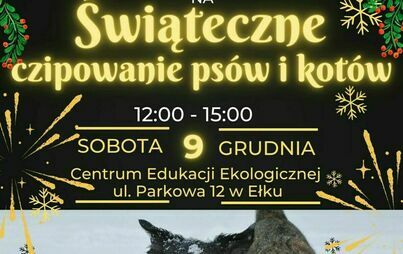 Zdjęcie do BEZPŁATNE CZIPOWANIE ZWIERZĄT - PS&Oacute;W I KOT&Oacute;W DLA MIESZKAŃC&Oacute;W POWIATU EŁCKIEGO
