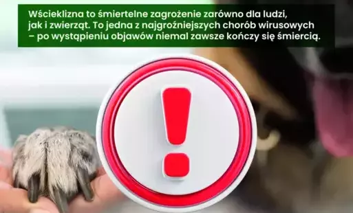 plakat- pamiętasz o wściekliźnie ?