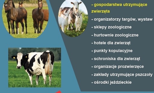 Zdjęcie do KOMUNIKAT POWIATOWEGO LEKARZA WETERYNARII W EŁKU